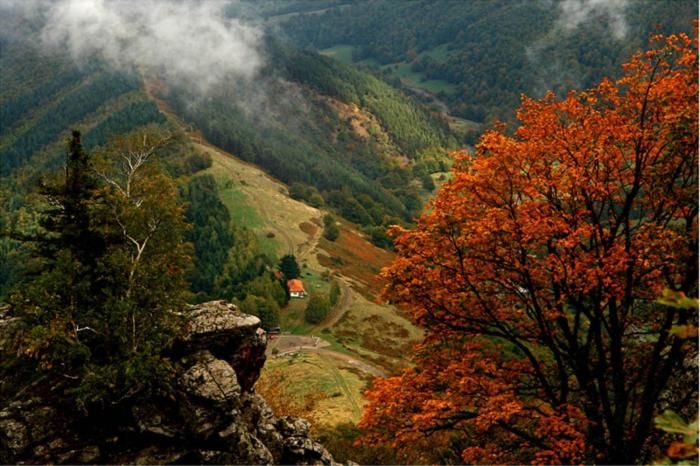 Дома для отпуска Къща за гости ДАЯНИЦА Kopilovtsi