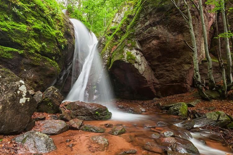 Дома для отпуска Къща за гости ДАЯНИЦА Kopilovtsi